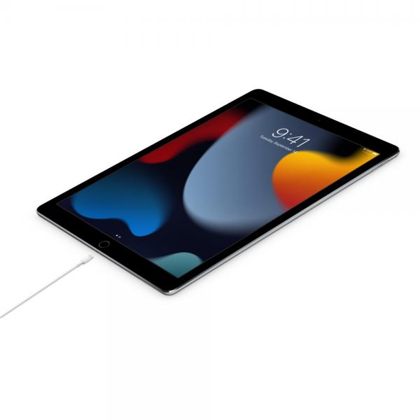 Cavo Lightning to USB-C \\ 1M