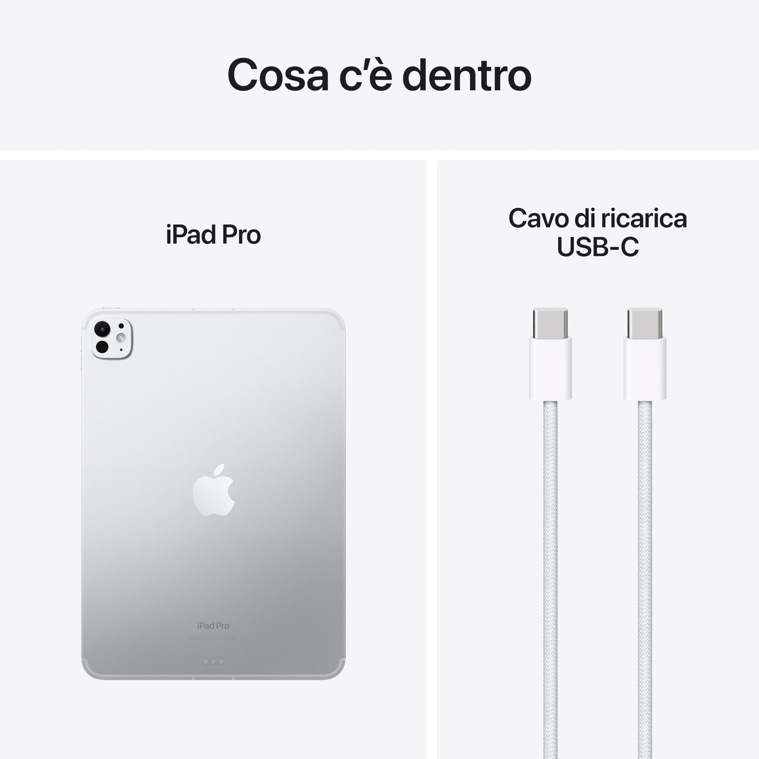 Apple iPad Pro 11'': Argento