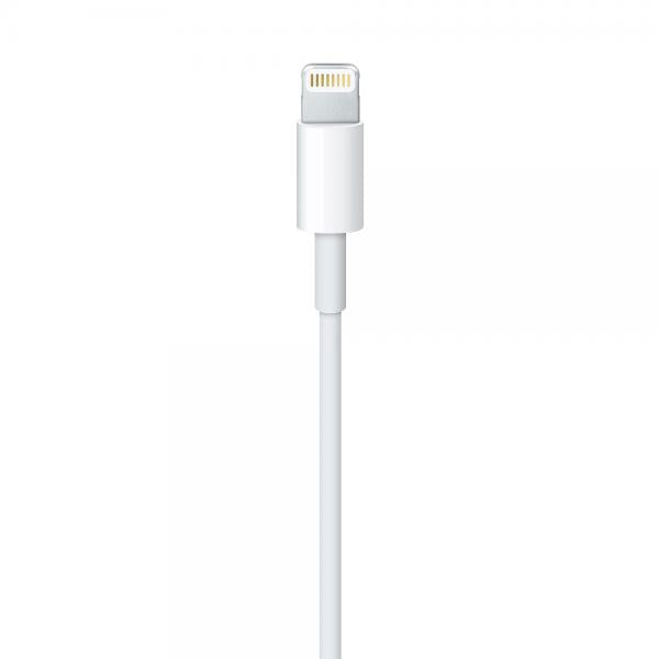 Cavo Apple da Lightning a USB \\ 1m
