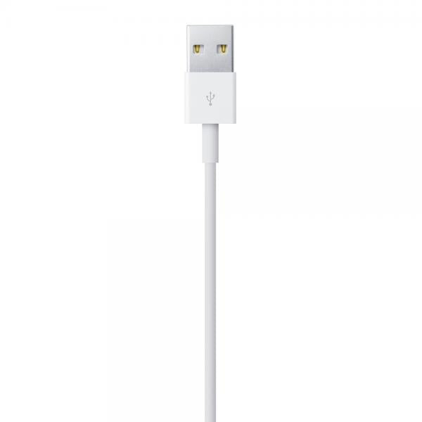 Cavo Apple da Lightning a USB \\ 1m