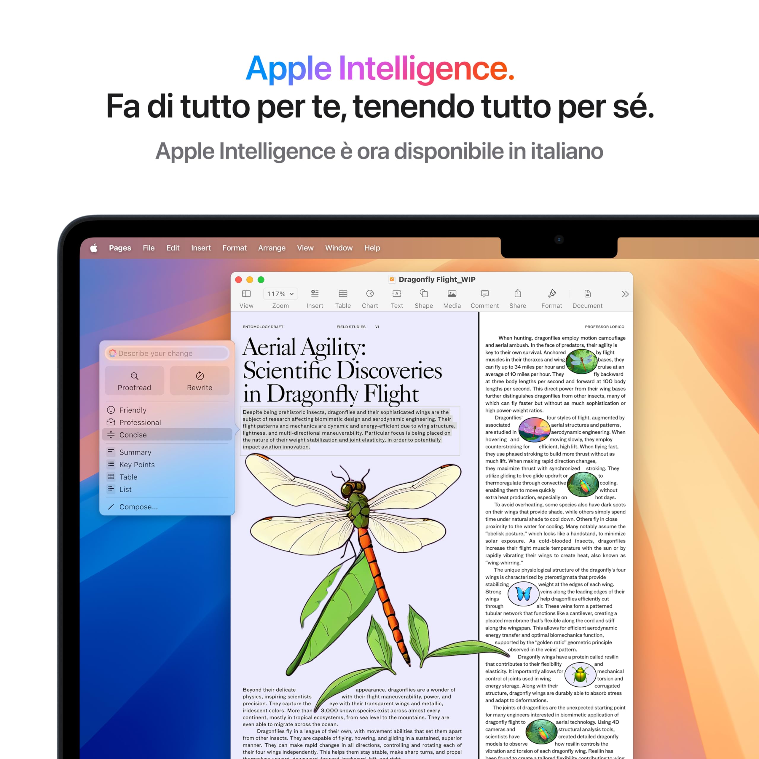 Apple Portatile MacBook Air 13'' con chip M4 (2025): progettato per Apple Intelligence, display Liquid Retina da 13,6'', 16GB di memoria unificata, 256GB di archiviazione SSD, Touch ID; Mezzanotte