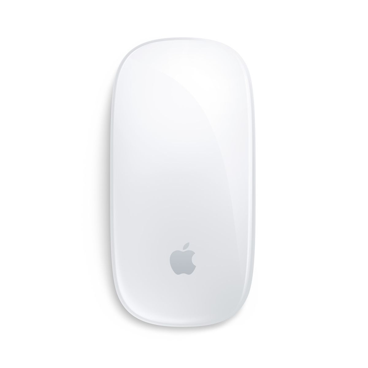 Magic Mouse \\ Bianco