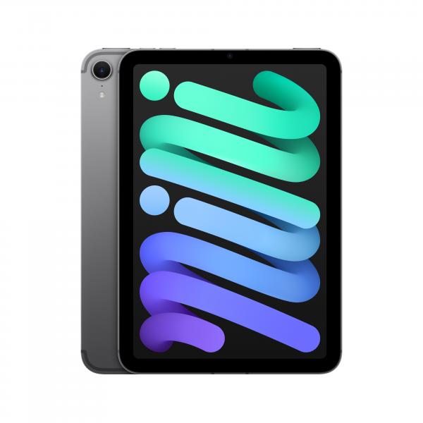 iPad mini Wi-Fi + Cellular 128GB \\ Space Grey